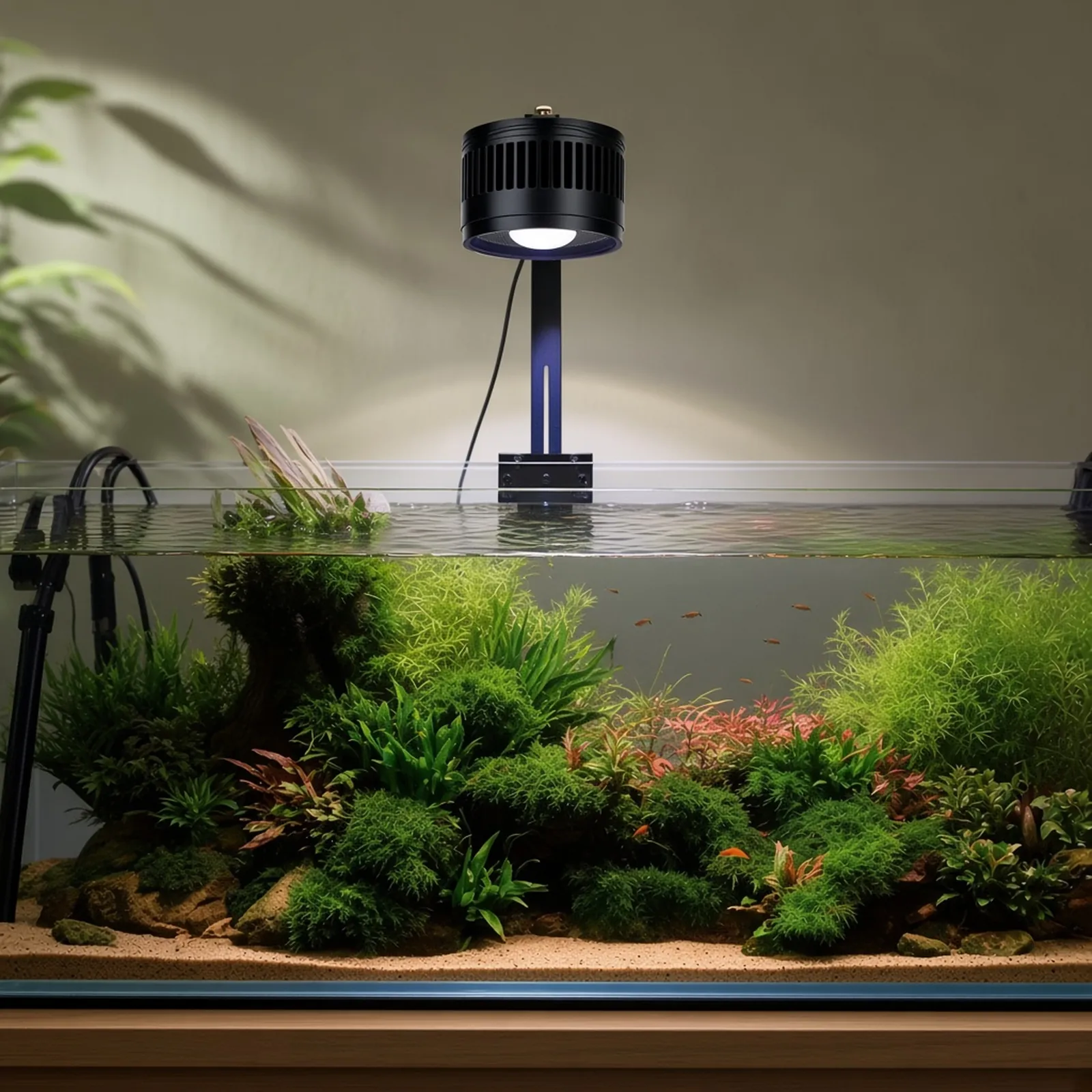 AQQA Aquatics product 3